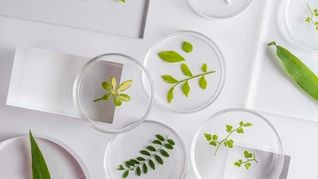 Area vocacional de ciencias